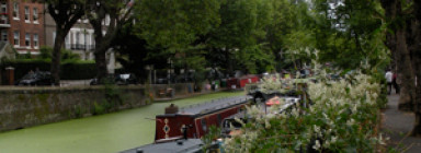 London